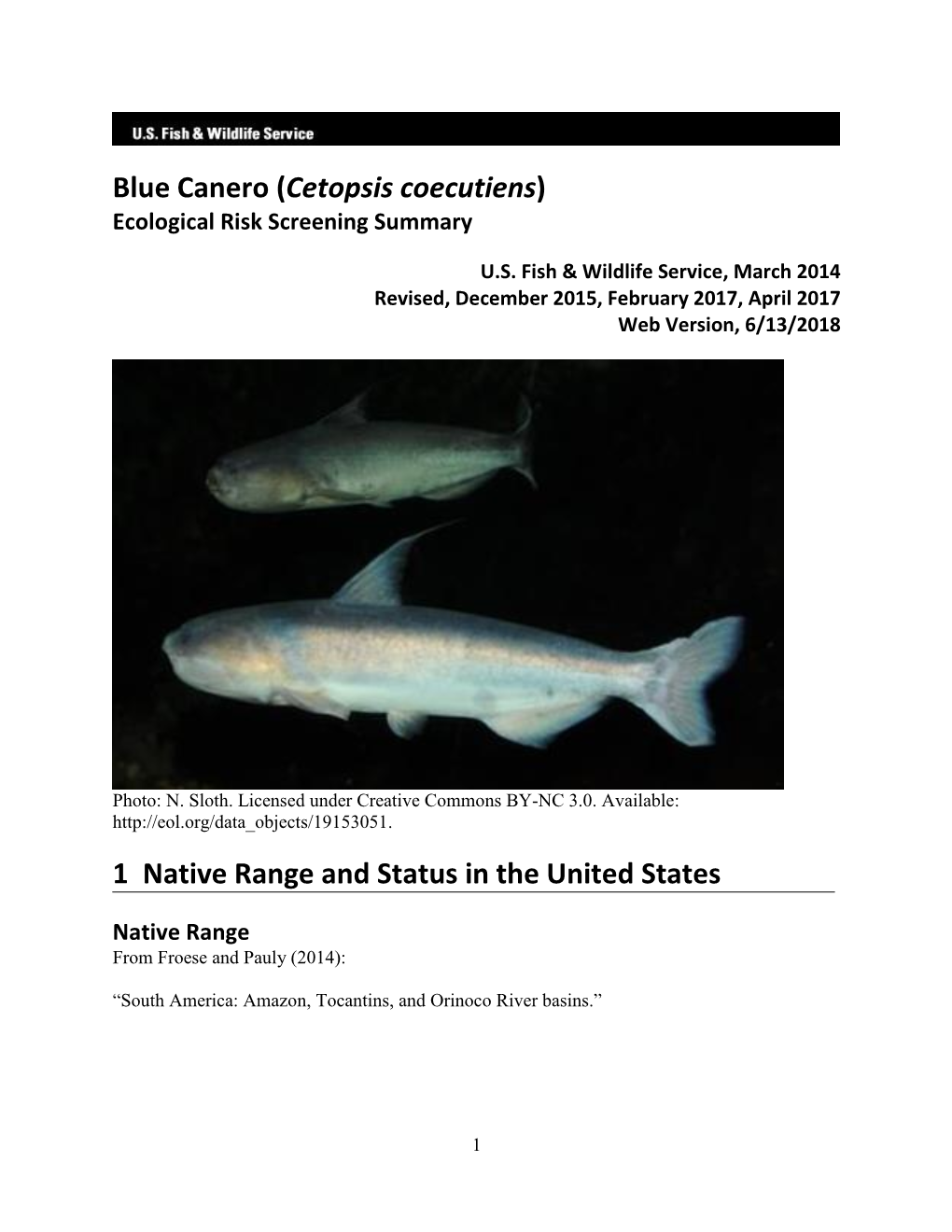 Cetopsis Coecutiens) Ecological Risk Screening Summary
