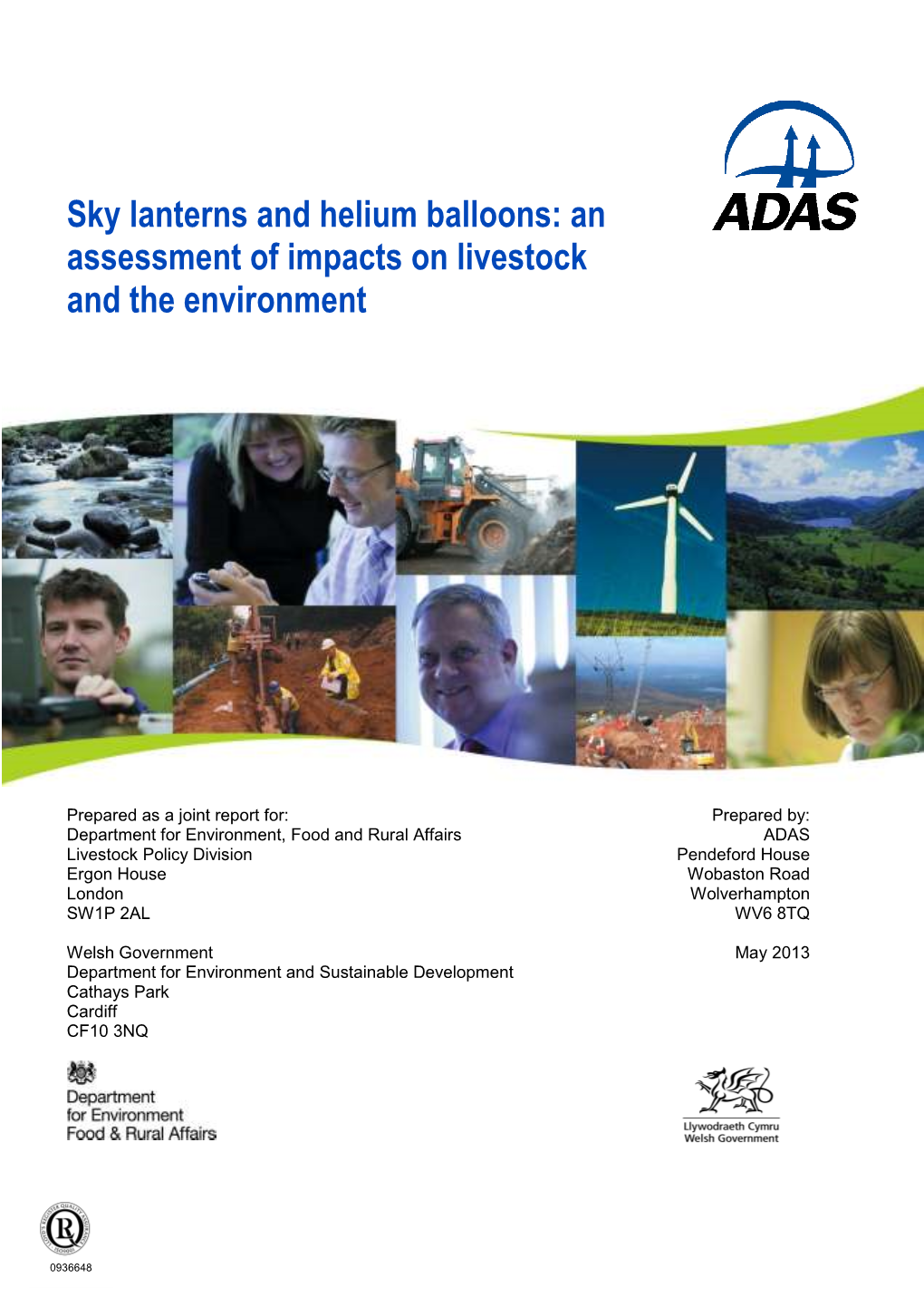 Sky Lanterns and Helium Balloons: an Assessment of Impacts on Livestock and the Environment
