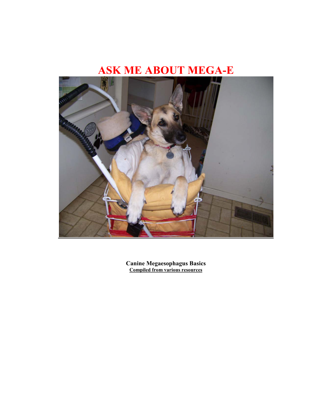 Canine Megaesophagus Basics Compiled from Various Resources CANINE MEGAESOPHAGUS BASICS