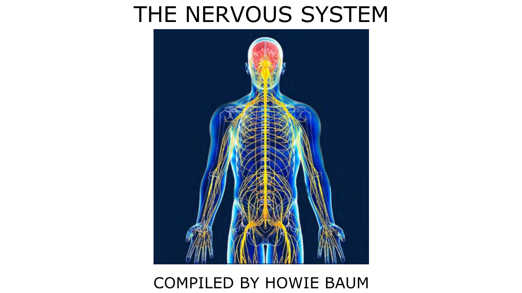 The Nervous System.Pdf