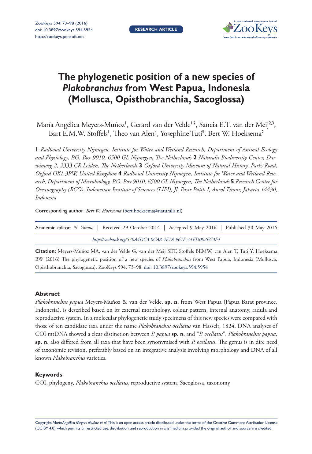 ﻿The Phylogenetic Position of a New Species of Plakobranchus From