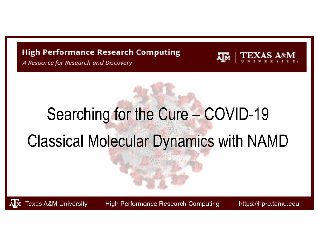 COVID-19 Classical Molecular Dynamics with NAMD