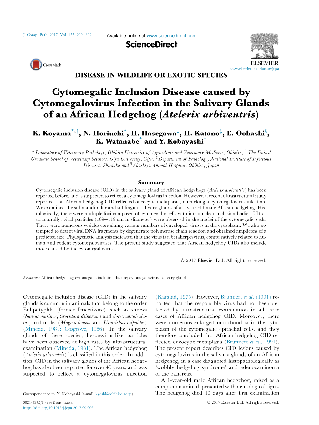 Cytomegalic Inclusion Disease Caused by Cytomegalovirus Infection in the Salivary Glands of an African Hedgehog (Atelerix Arbiventris)