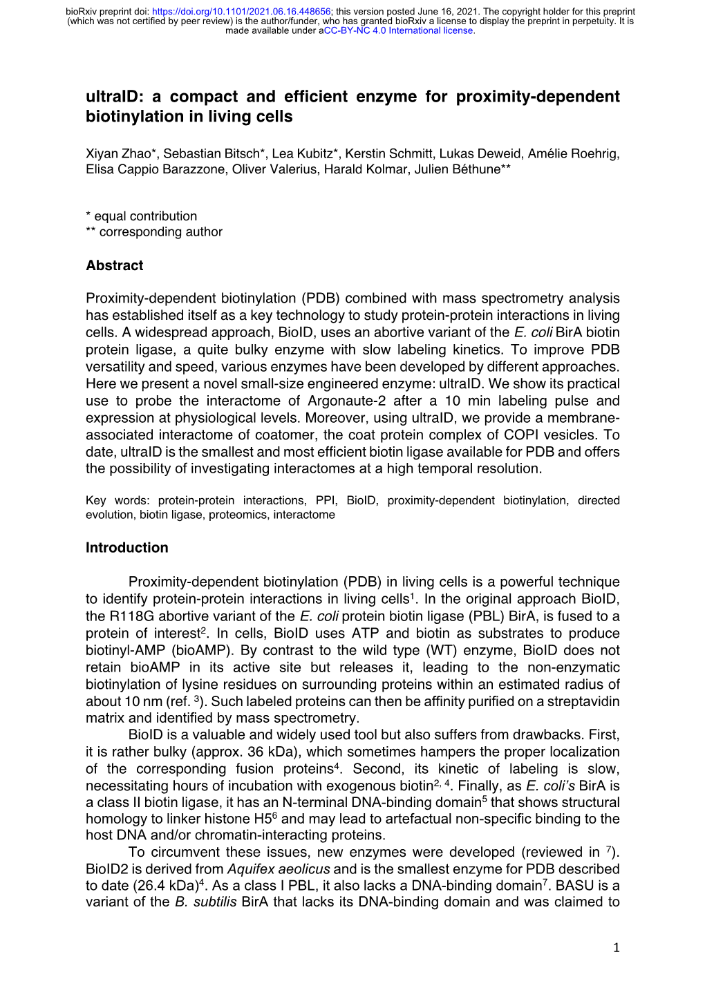 Ultraid: a Compact and Efficient Enzyme for Proximity-Dependent Biotinylation in Living Cells