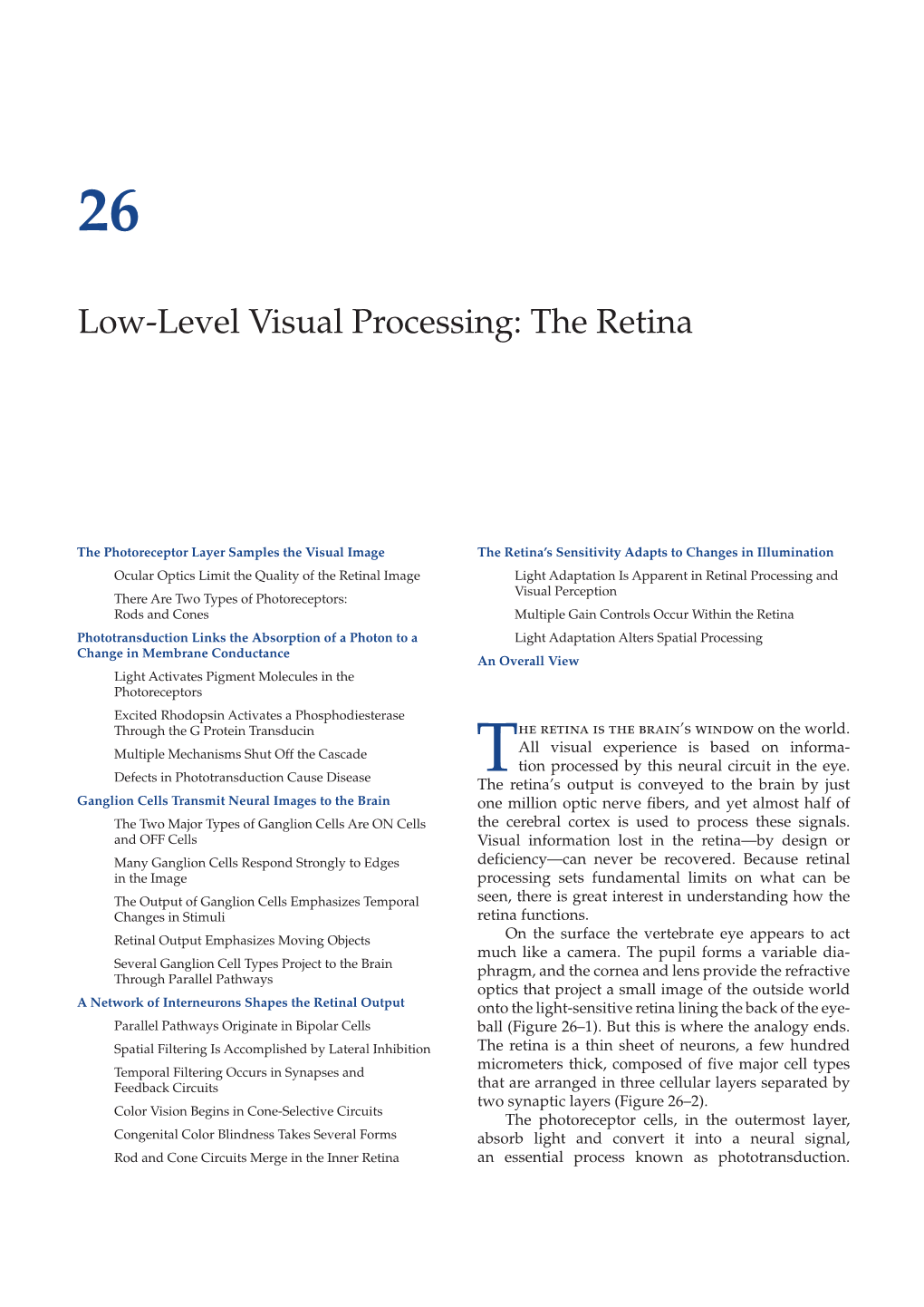 Low-Level Visual Processing: the Retina