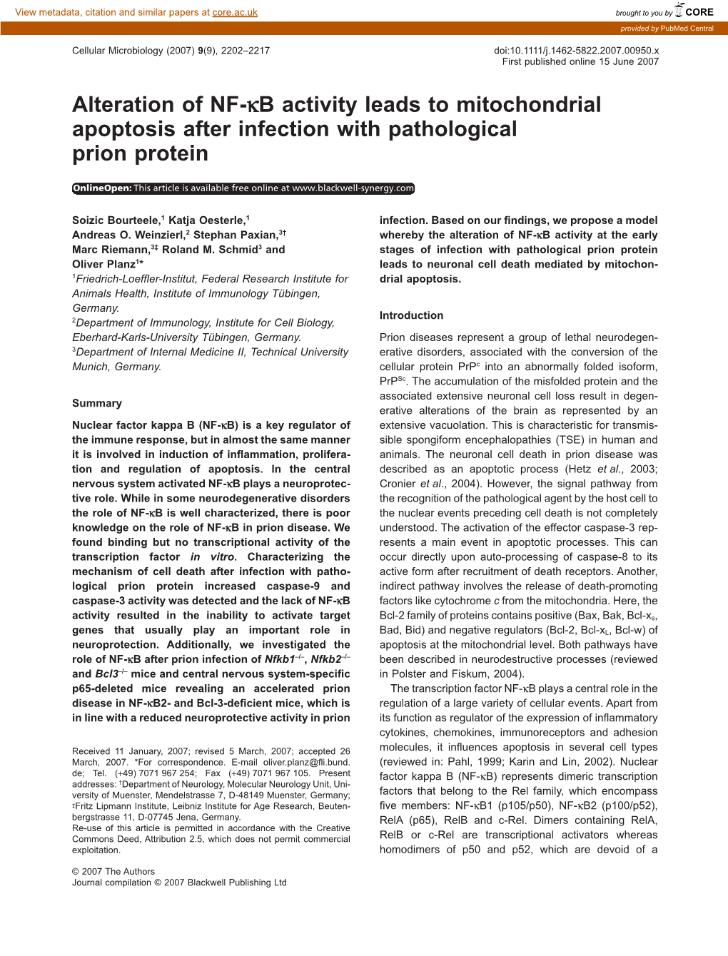 Alteration of NF-Kb Activity Leads to Mitochondrial Apoptosis After Infection with Pathological Prion Protein