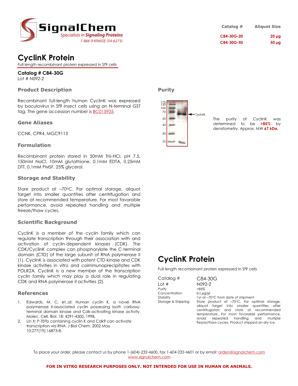 Cyclink Protein Cyclink Protein