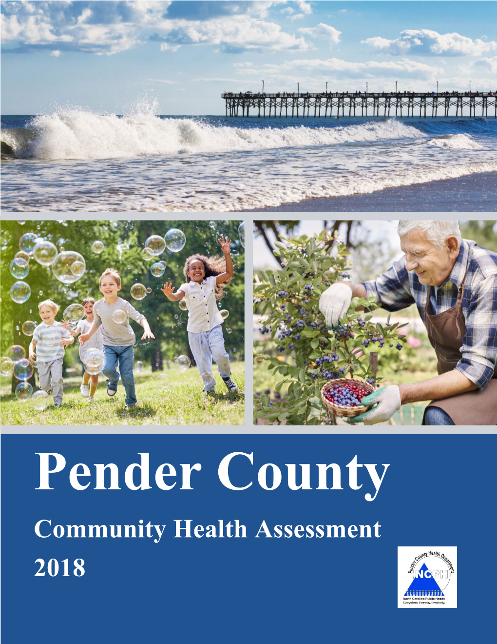 Pender County Community Health Assessment 2018