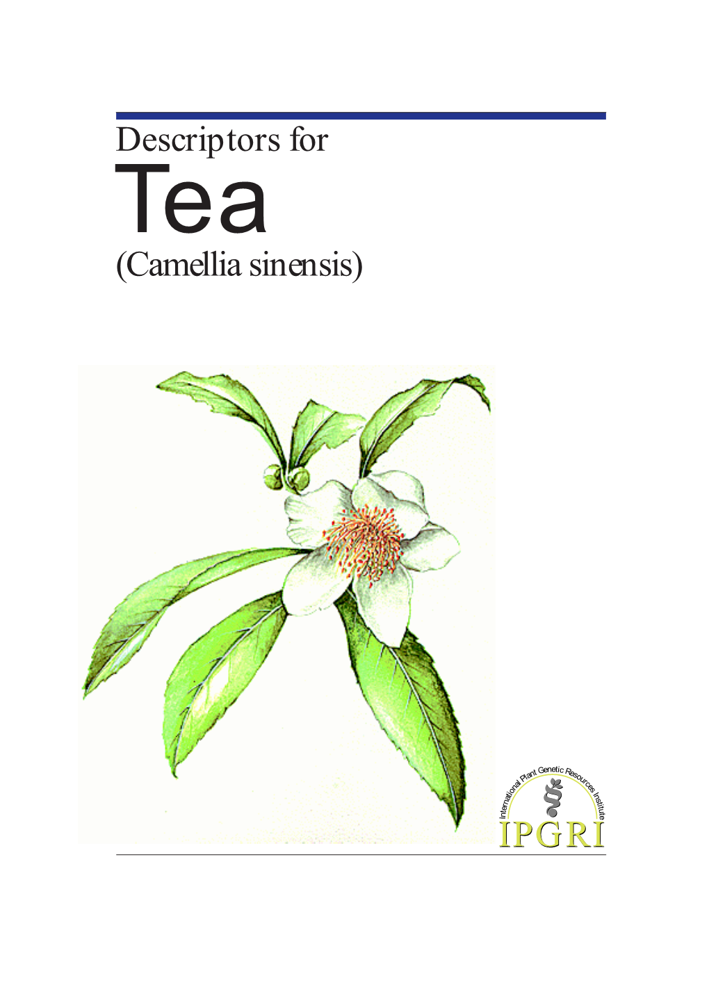 Descriptors for Tea (<I>Camellia Sinensis</I>)