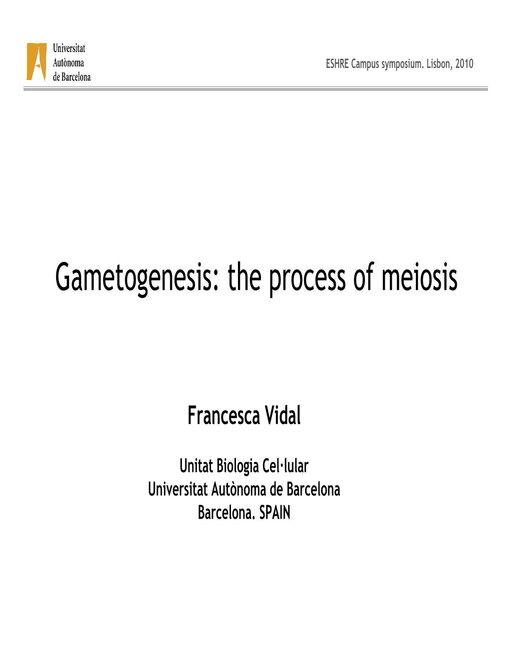 Gametogenesis: the Process of Meiosis