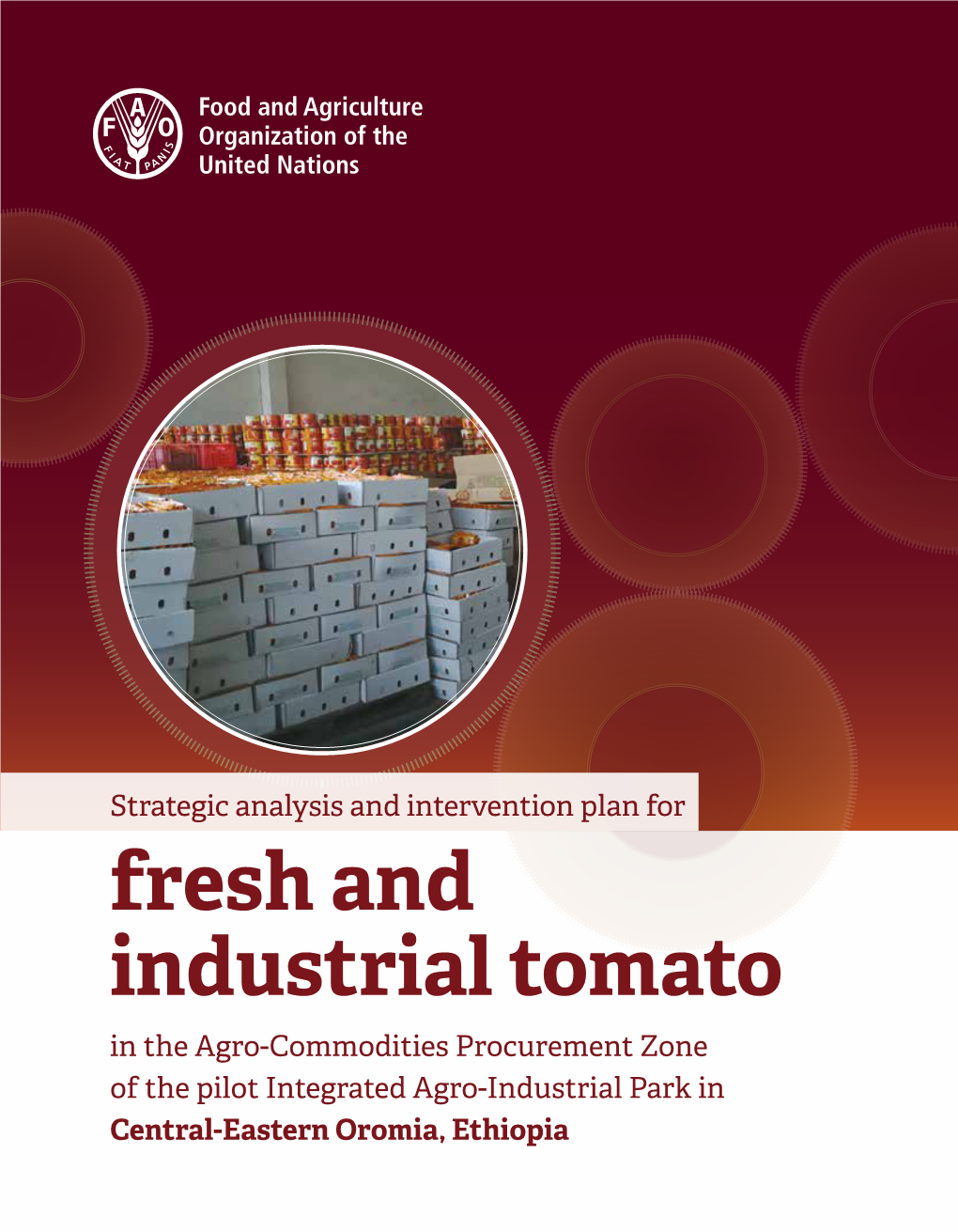 Fresh and Industrial Tomato in the Agro-Commodities Procurement Zone of the Pilot Integrated Agro-Industrial Park in Central-Eastern Oromia, Ethiopia