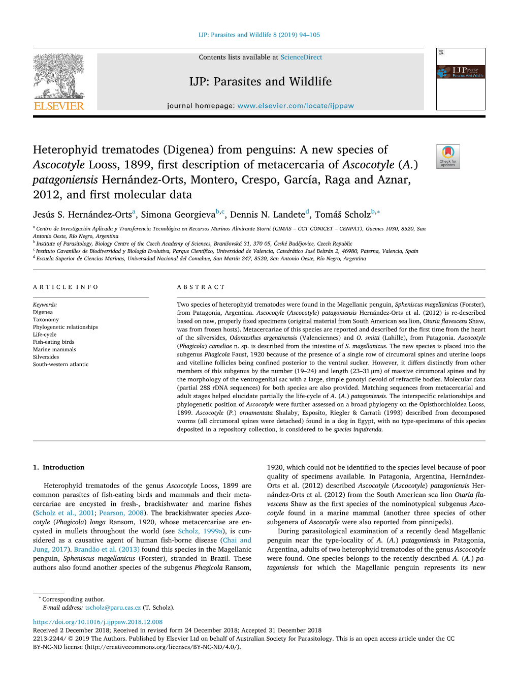 Heterophyid Trematodes (Digenea) from Penguins a New Species Of