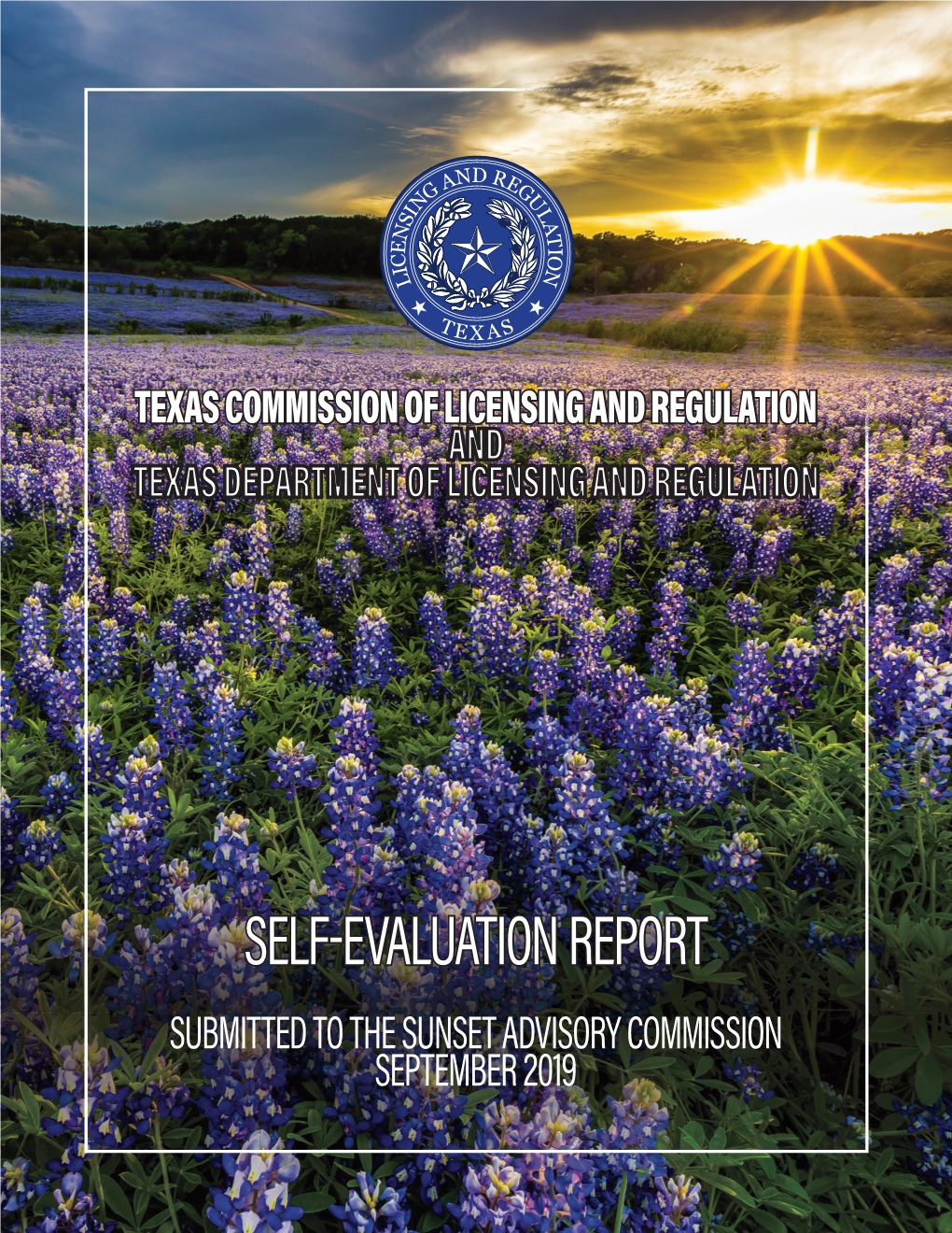 Texas Department of Licensing and Regulation Self-Evaluation Report