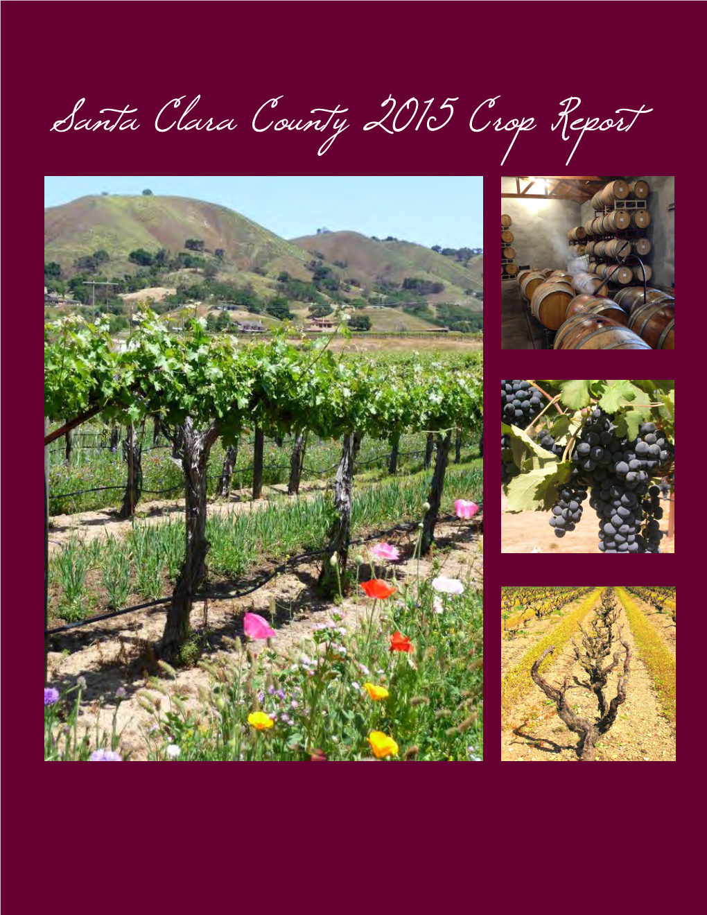 Santa Clara County 2015 Crop Report