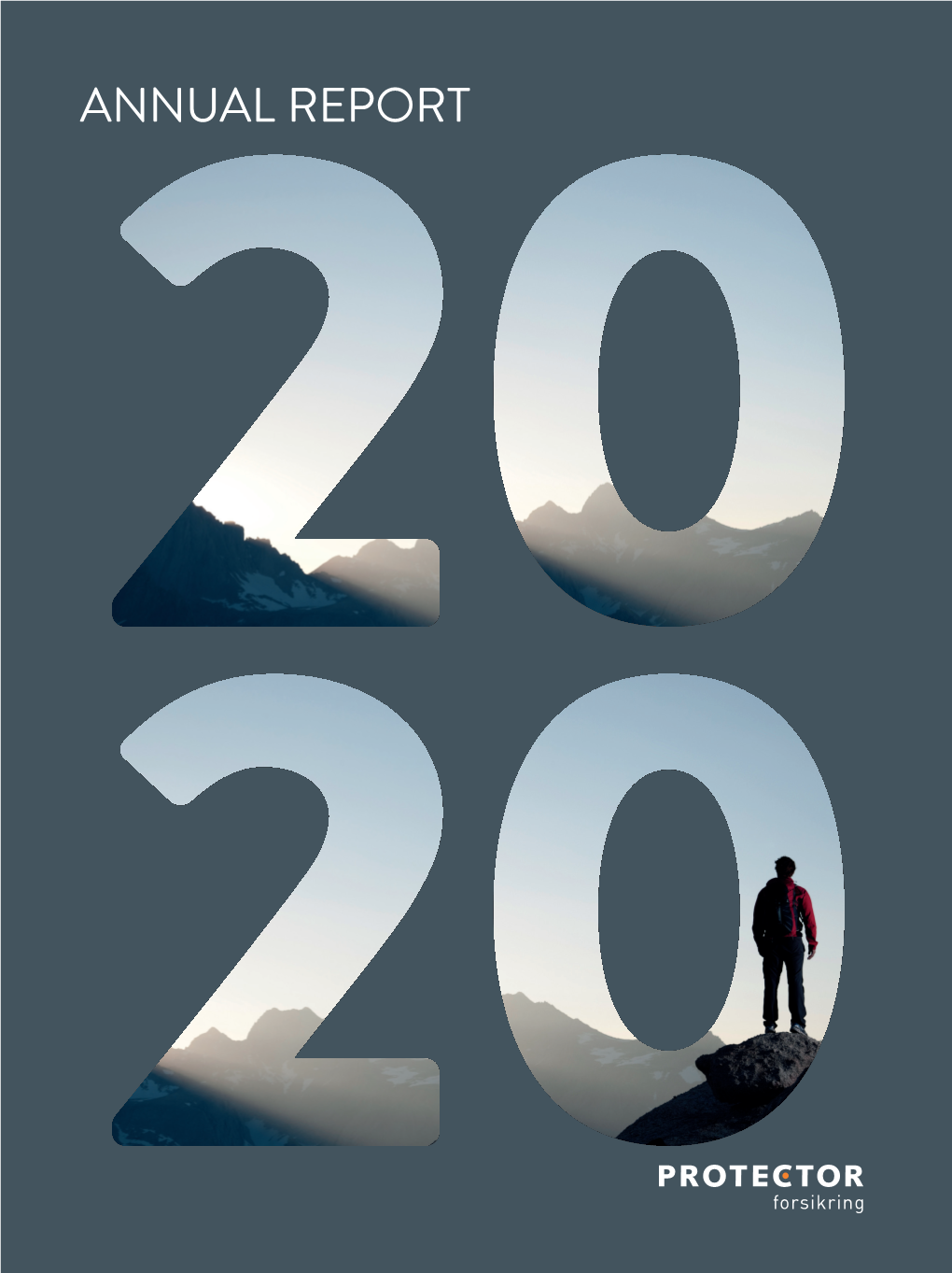 2020 Annual Report.Pdf