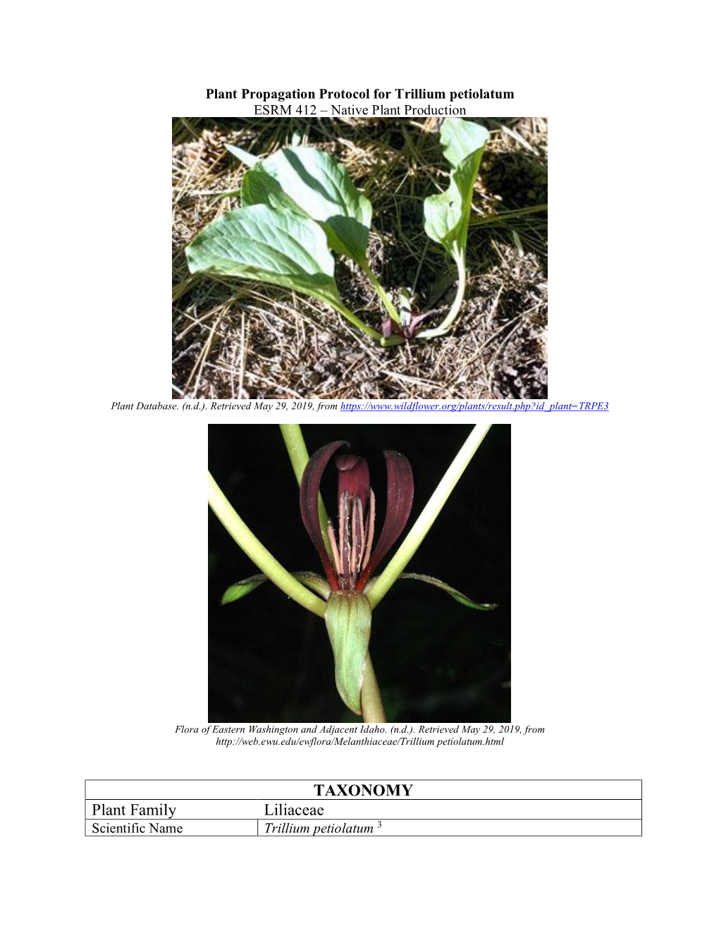 Plant Propagation Protocol for Trillium Petiolatum ESRM 412 – Native Plant Production