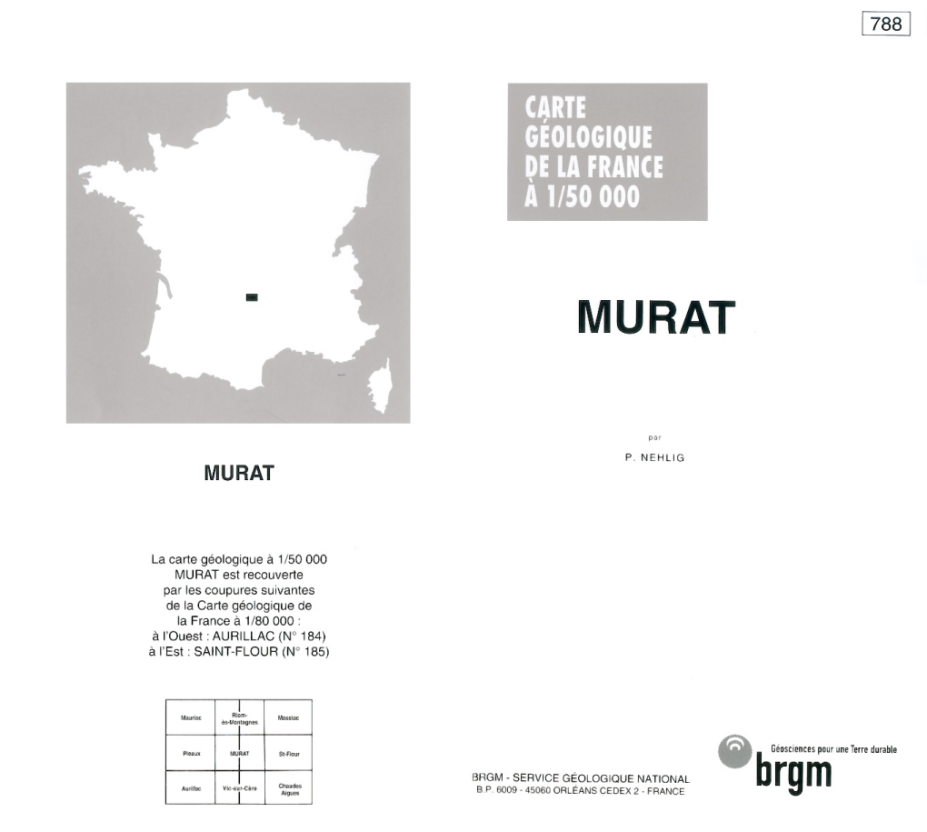 BRGM Carte Géologique Murat