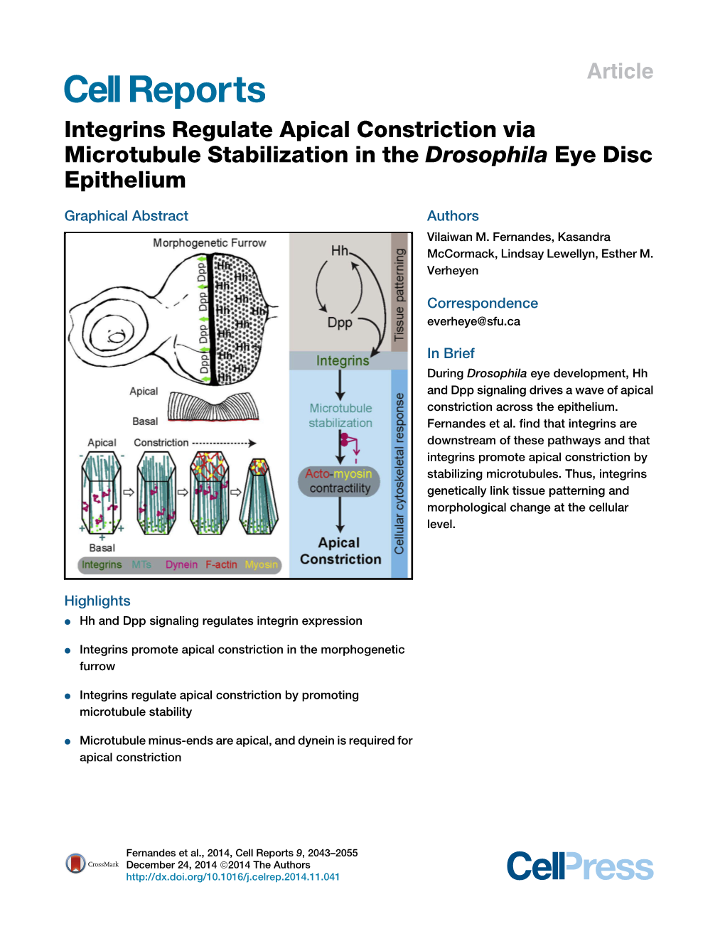 Integrins Regulate Apical Constriction Via Microtubule Stabilization in the Drosophila Eye Disc Epithelium