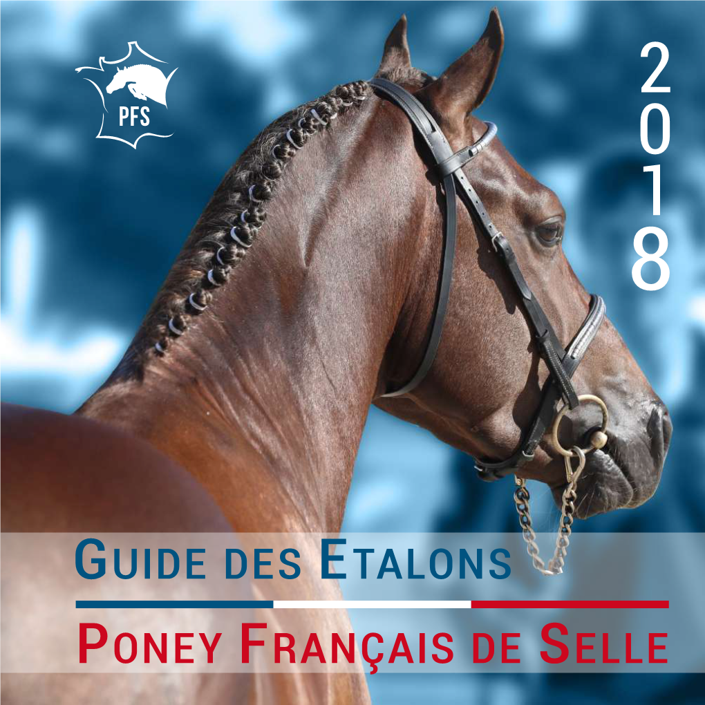 Guide Des Etalons Poney Français De Selle