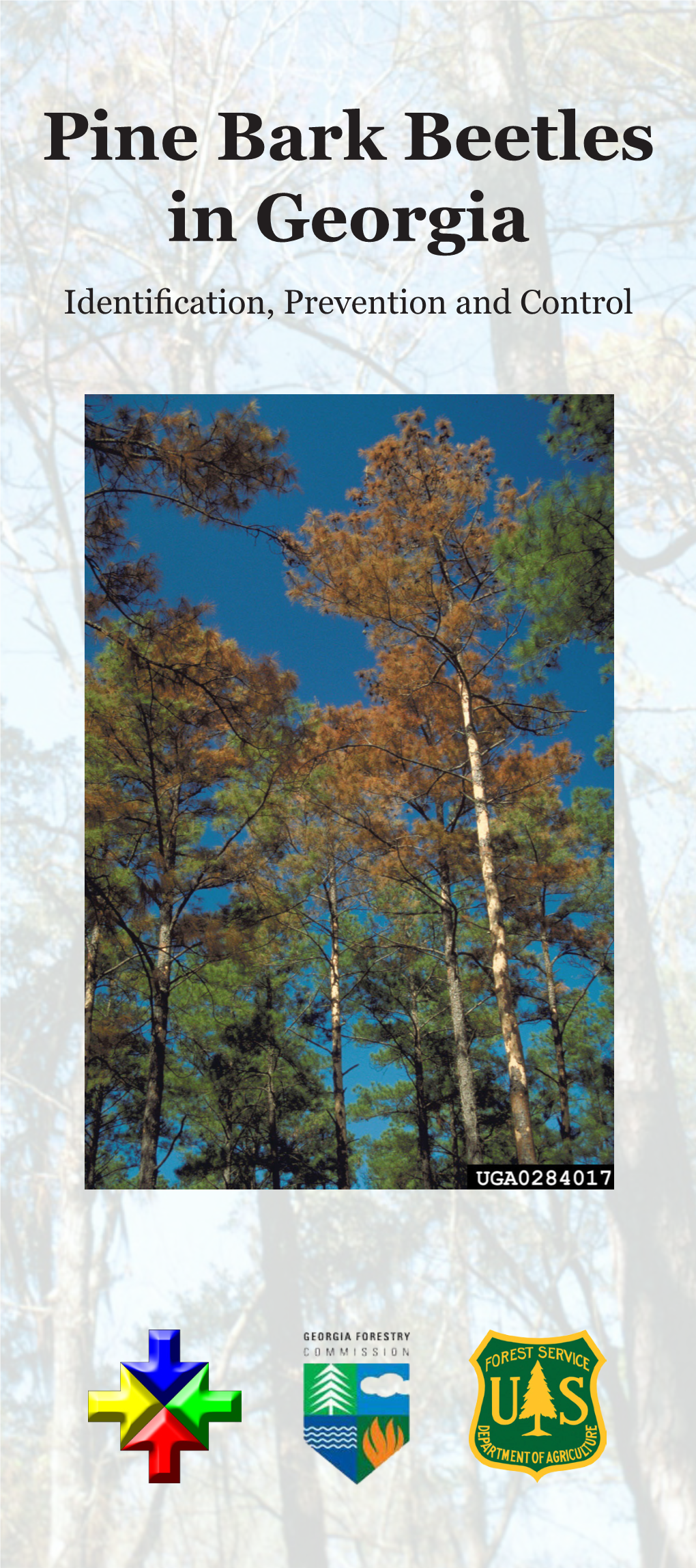 Pine Bark Beetles in Georgia Identification, Prevention and Control WHAT ARE PINE BARK BEETLES?