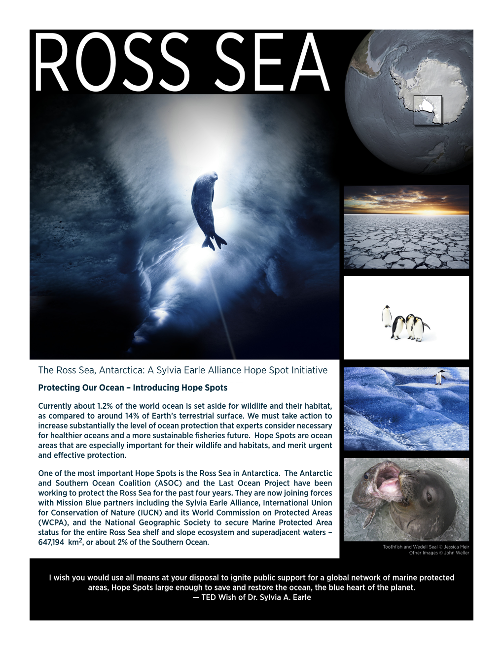 Ross Sea, Antarctica: a Sylvia Earle Alliance Hope Spot Initiative Protecting Our Ocean – Introducing Hope Spots