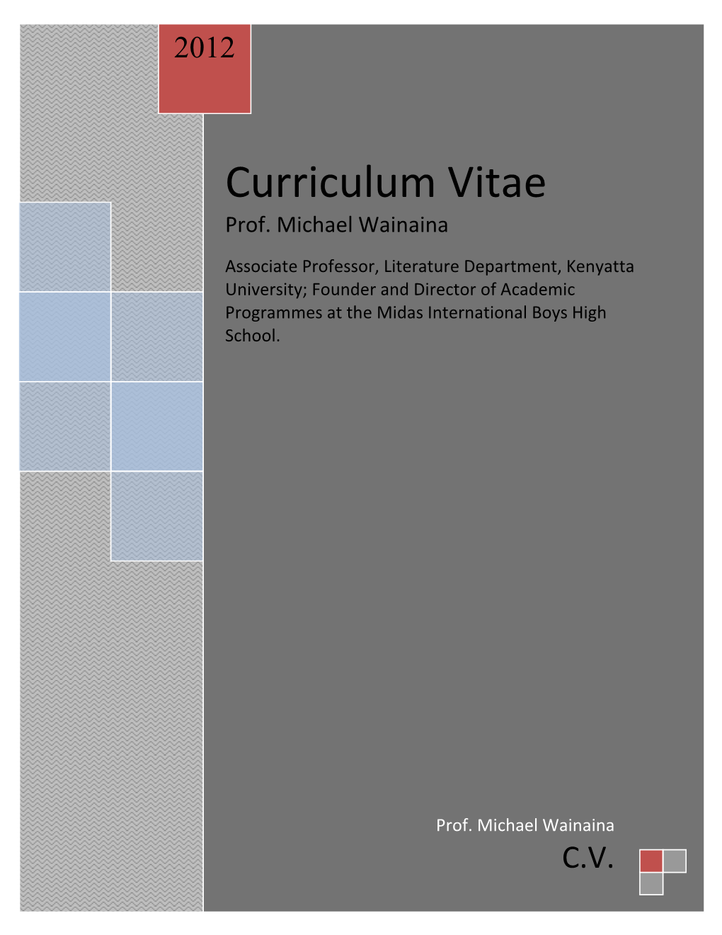 Curriculum Vitae Prof