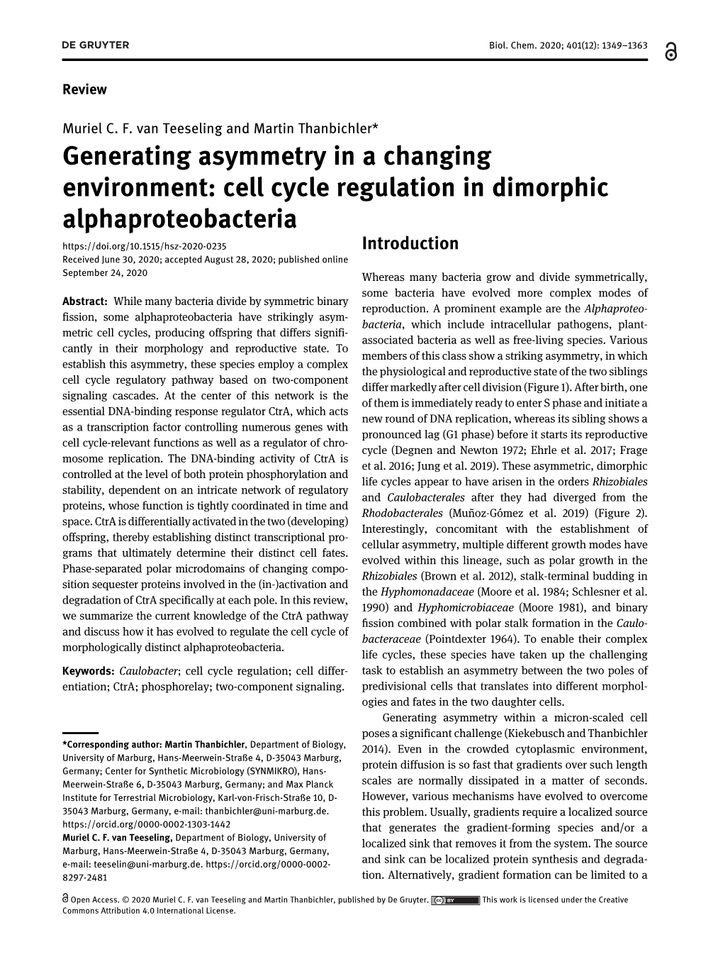 Generating Asymmetry in a Changing Environment: Cell Cycle Regulation In