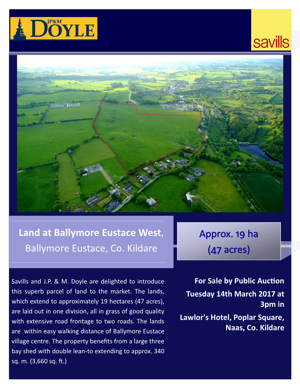 Land at Ballymore Eustace West, Ballymore Eustace, Co. Kildare