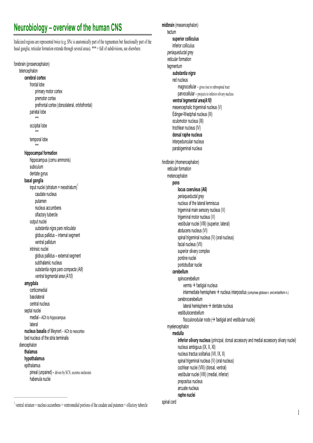 Neurobiology – Overview of the Human CNS Tectum Italicized Regions Are Represented Twice (E.G