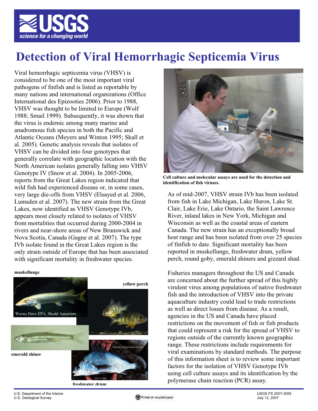 Detection of Viral Hemorrhagic Septicemia Virus