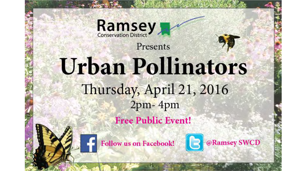 Urban Pollinators