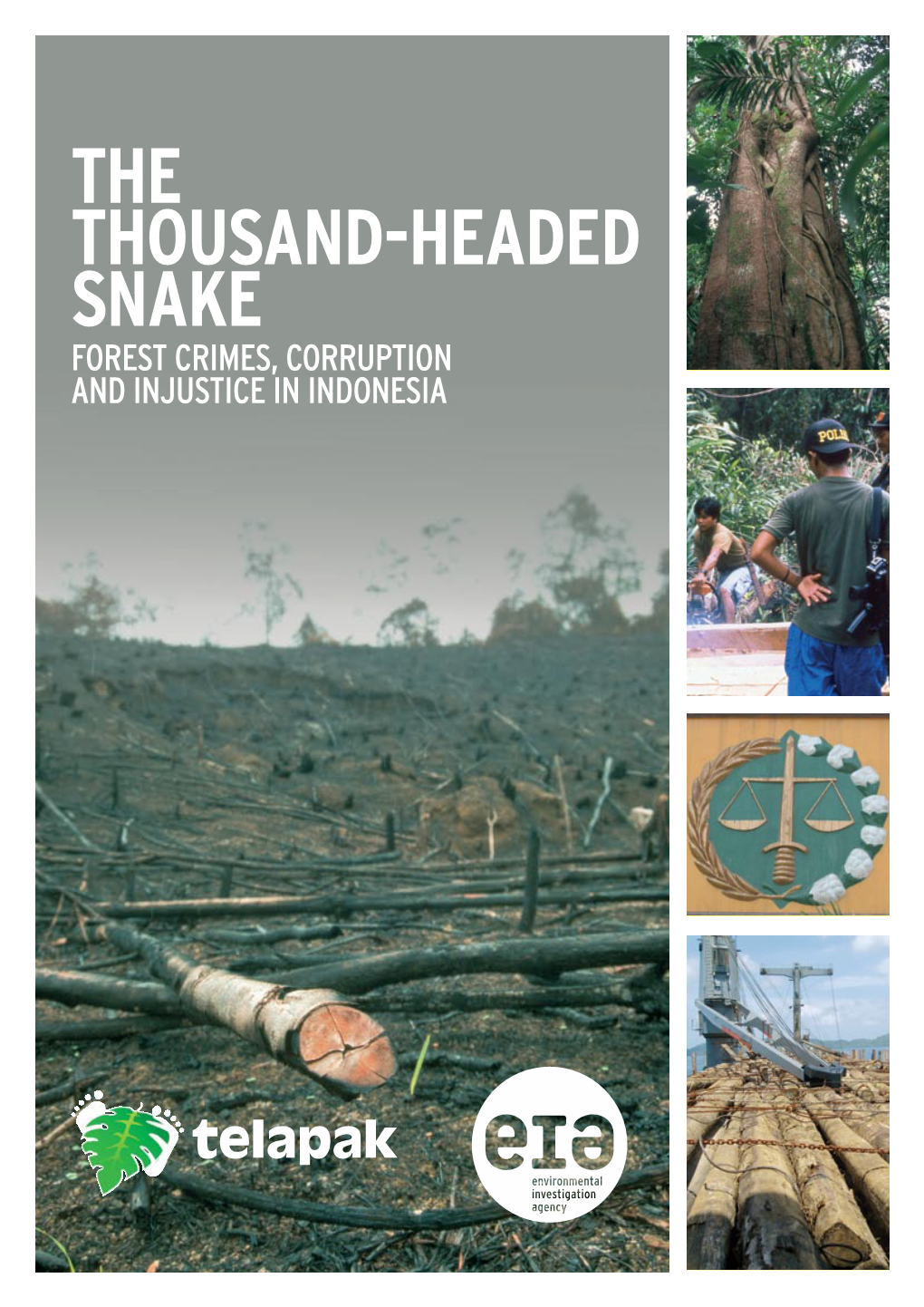 The Thousand-Headed Snake Forest Crimes, Corruption and Injustice in Indonesia