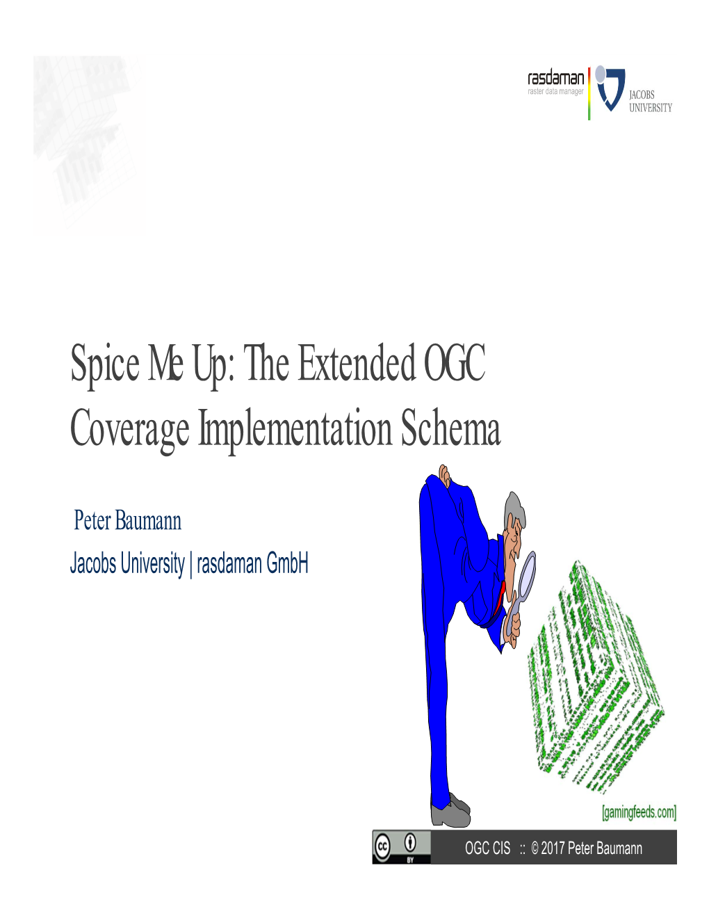 Spice Me Up: the Extended OGC Coverage Implementation Schema