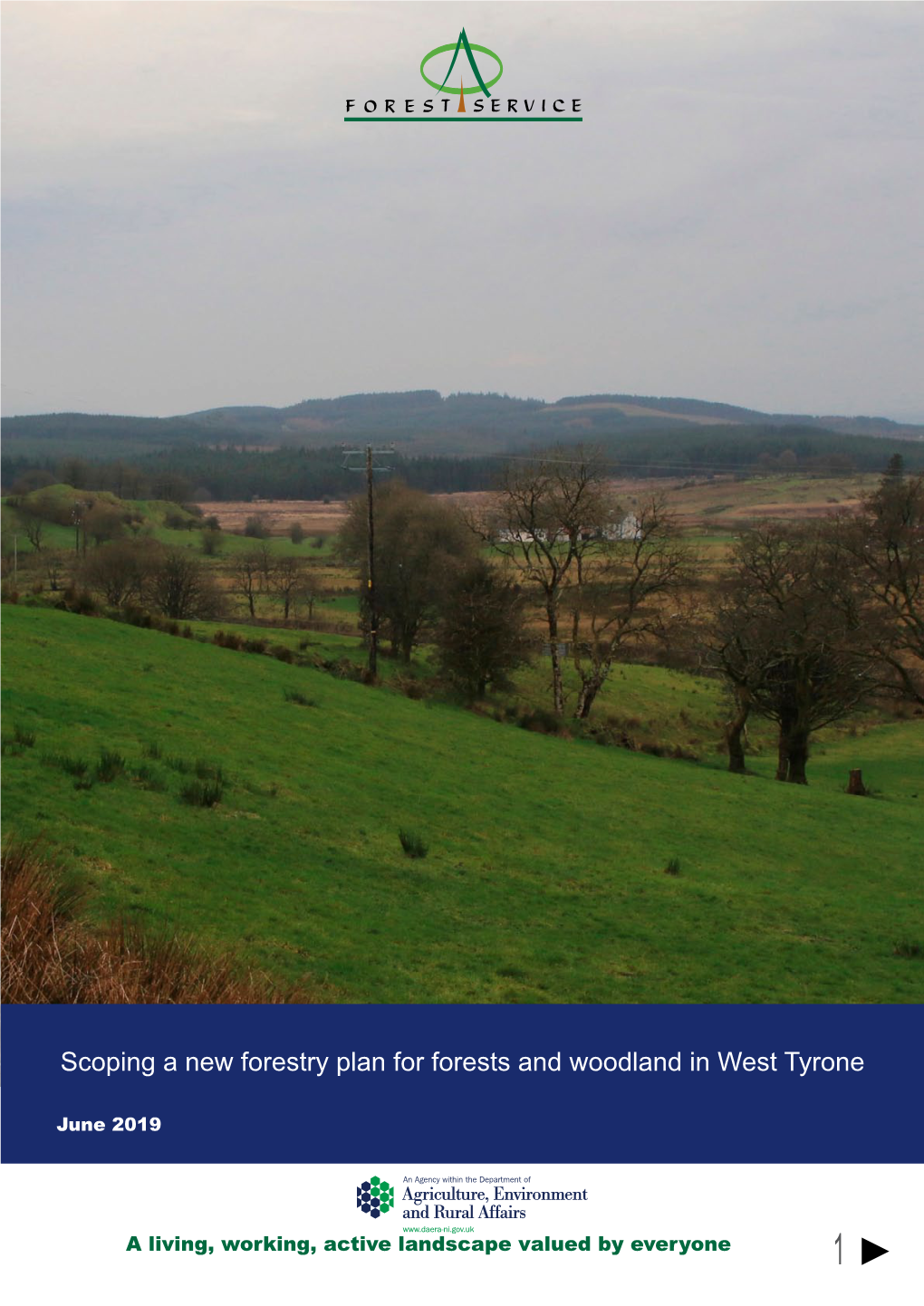 Scoping a New Forestry Plan for Forests and Woodland in West Tyrone