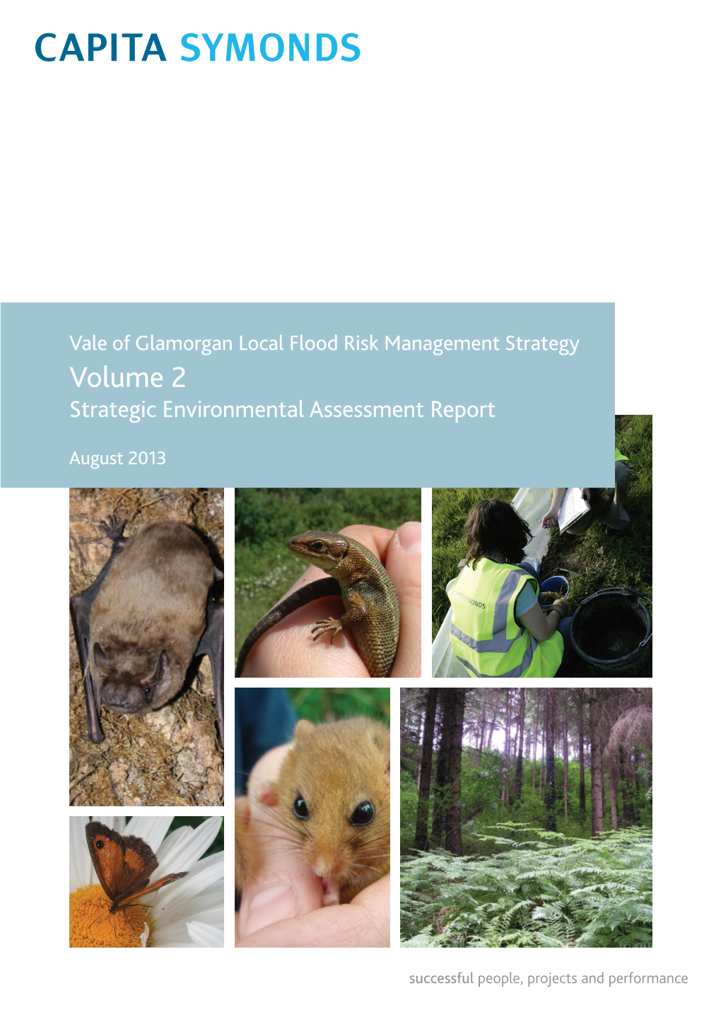 Volume 2 Strategic Environmental Assessment Report