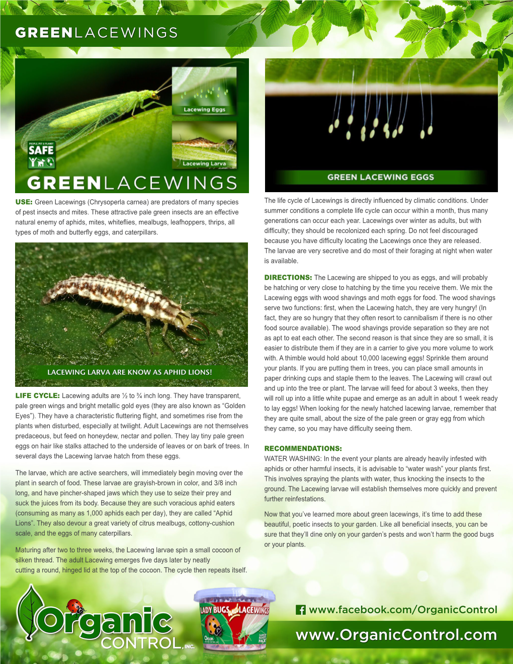 USE: Green Lacewings (Chrysoperla Carnea) Are Predators of Many Species the Life Cycle of Lacewings Is Directly Influenced by Climatic Conditions