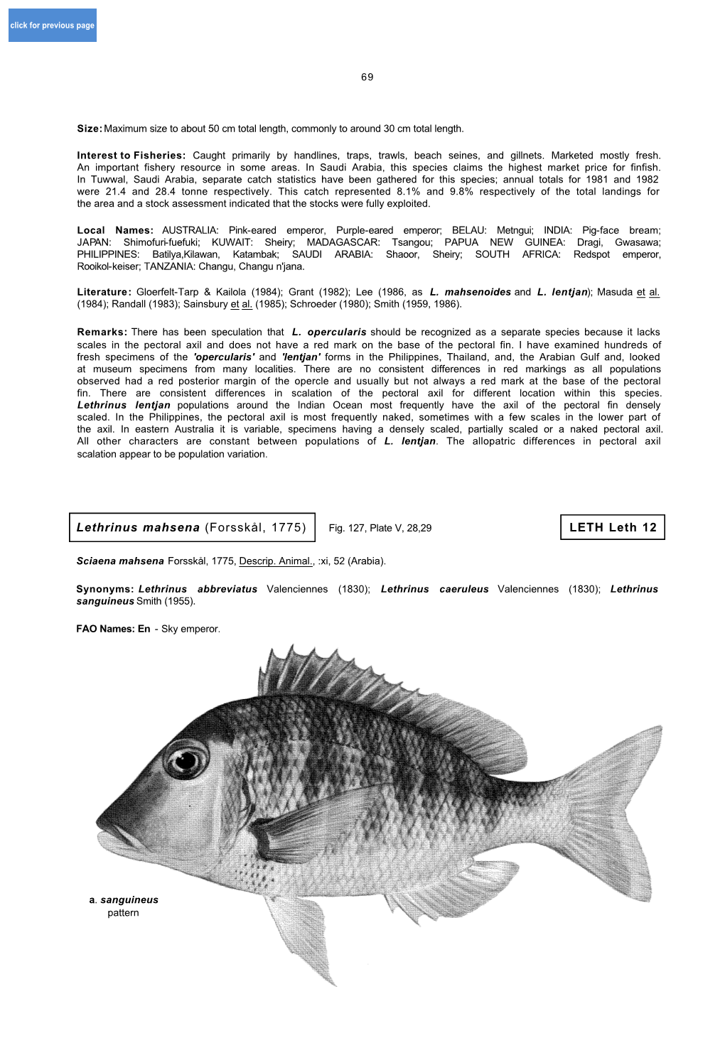 Lethrinus Mahsena (Forsskål, 1775) LETH Leth 12