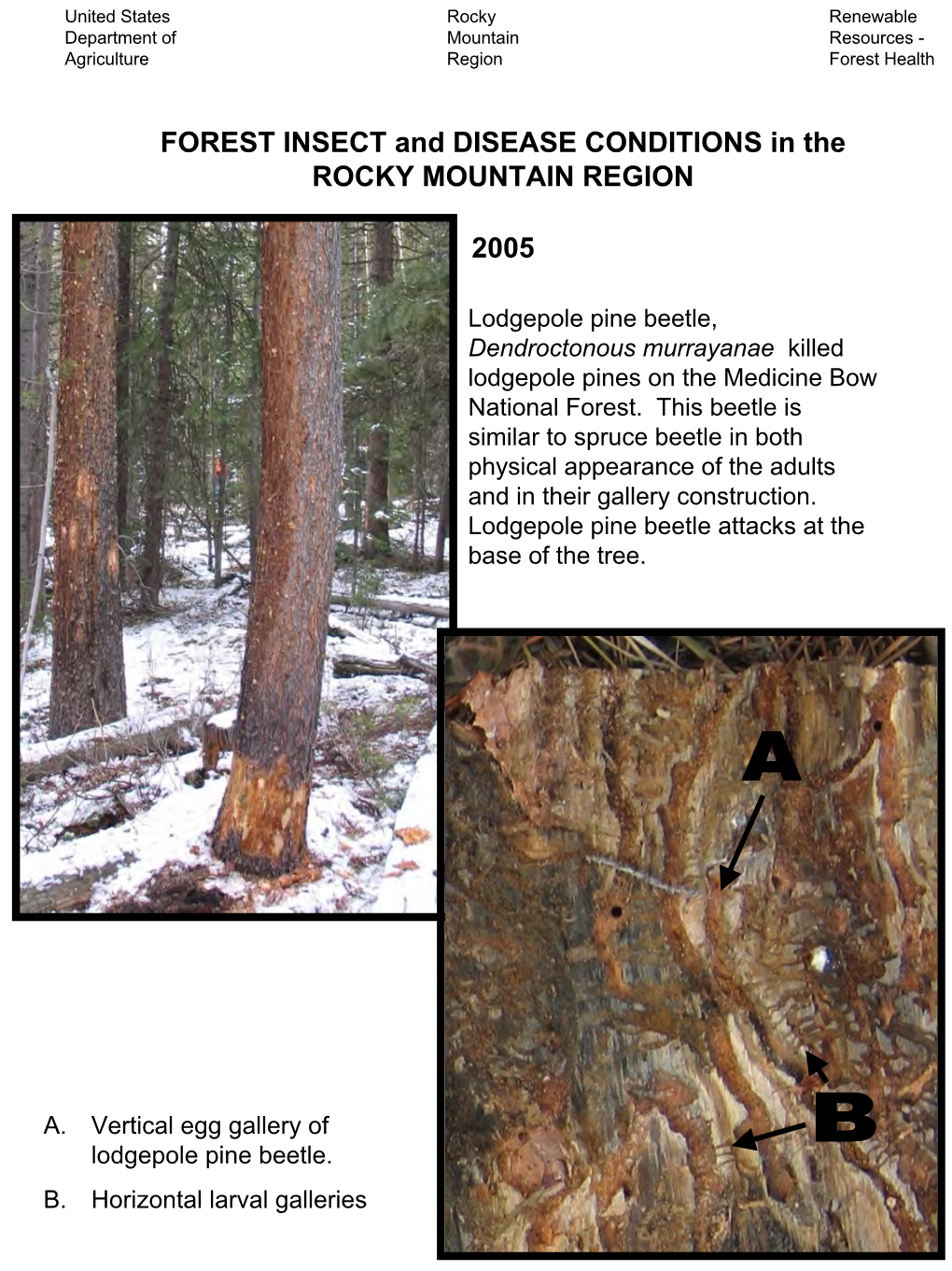 FOREST INSECT and DISEASE CONDITIONS in the ROCKY MOUNTAIN REGION