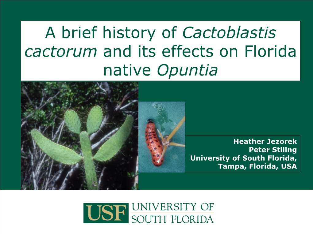 A Brief History of Cactoblastis Cactorum and Its Effects on Florida Native Opuntia