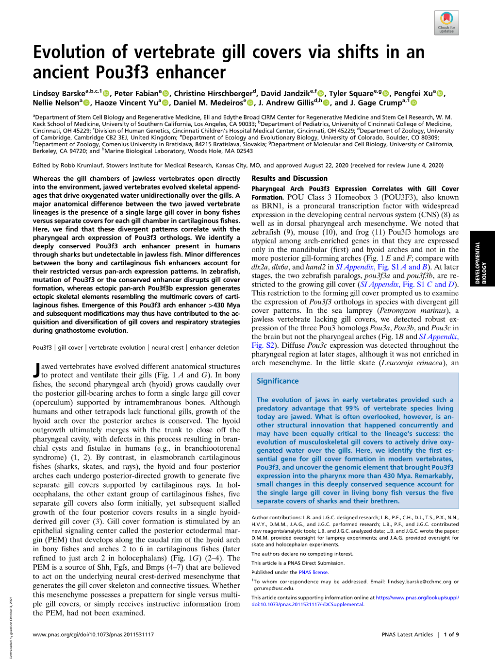 Evolution of Vertebrate Gill Covers Via Shifts in an Ancient Pou3f3 Enhancer