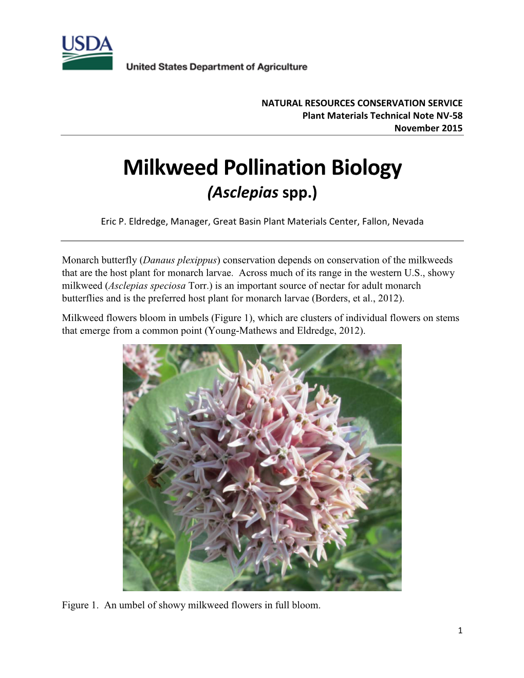 Milkweed Pollination Biology (Asclepias Spp.)