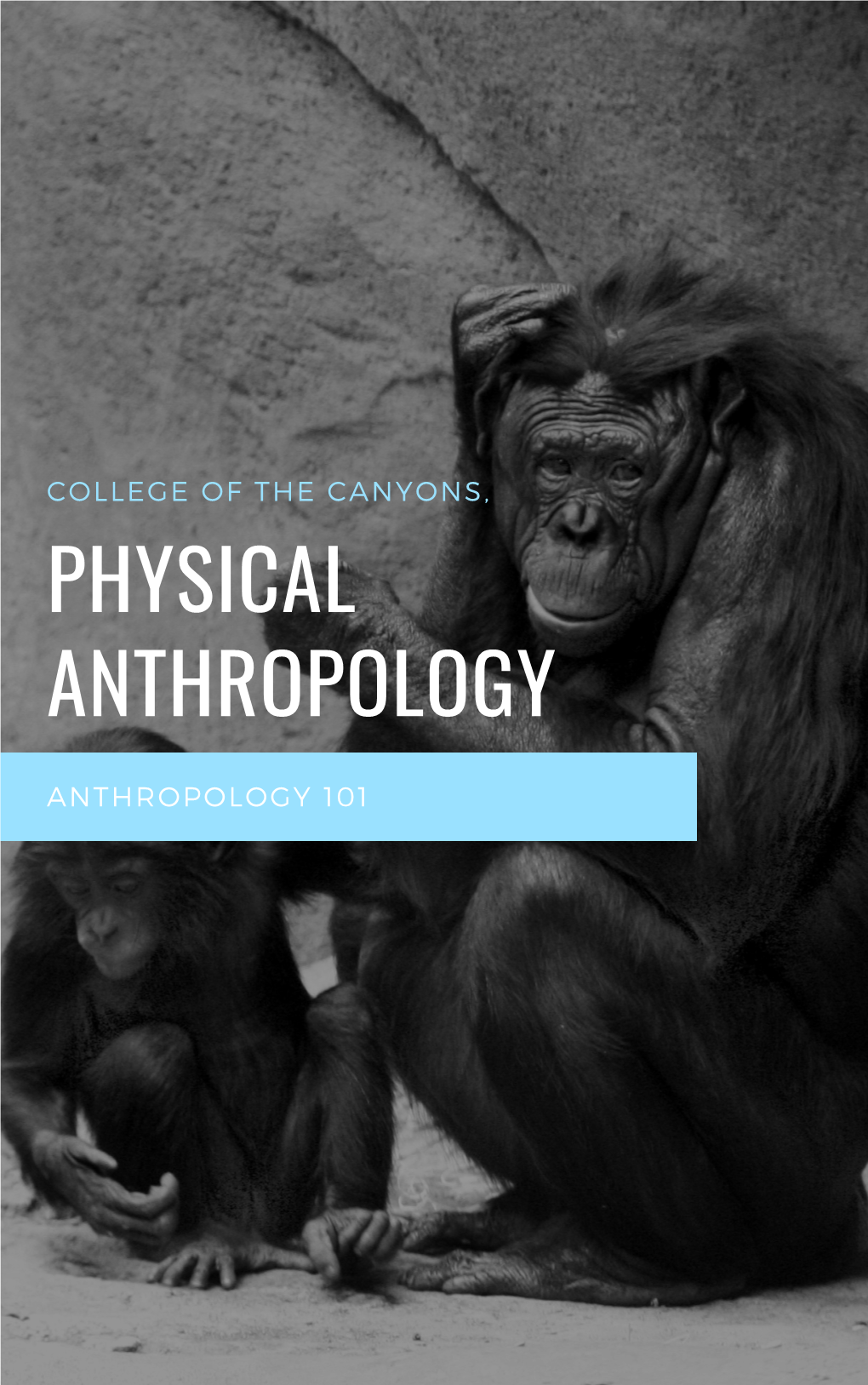 Anthropology