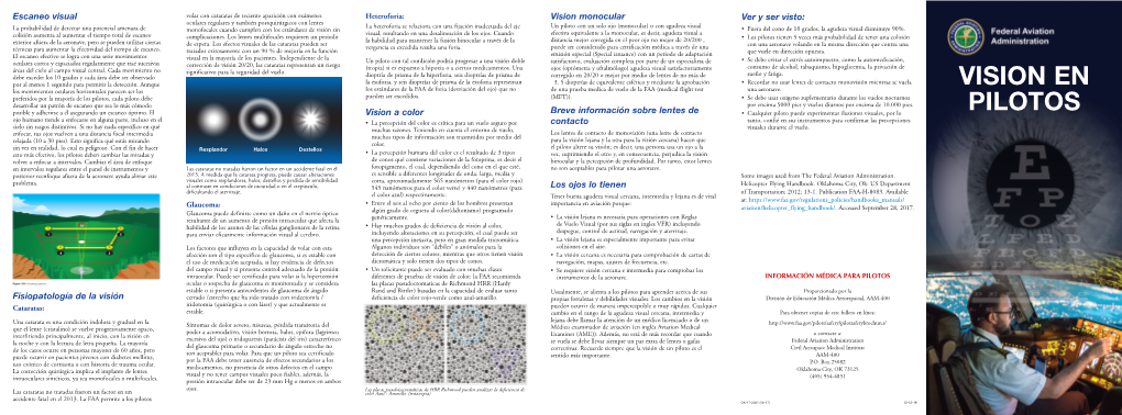 CAMI Pilot Vision Brochure V5 Spanish 508