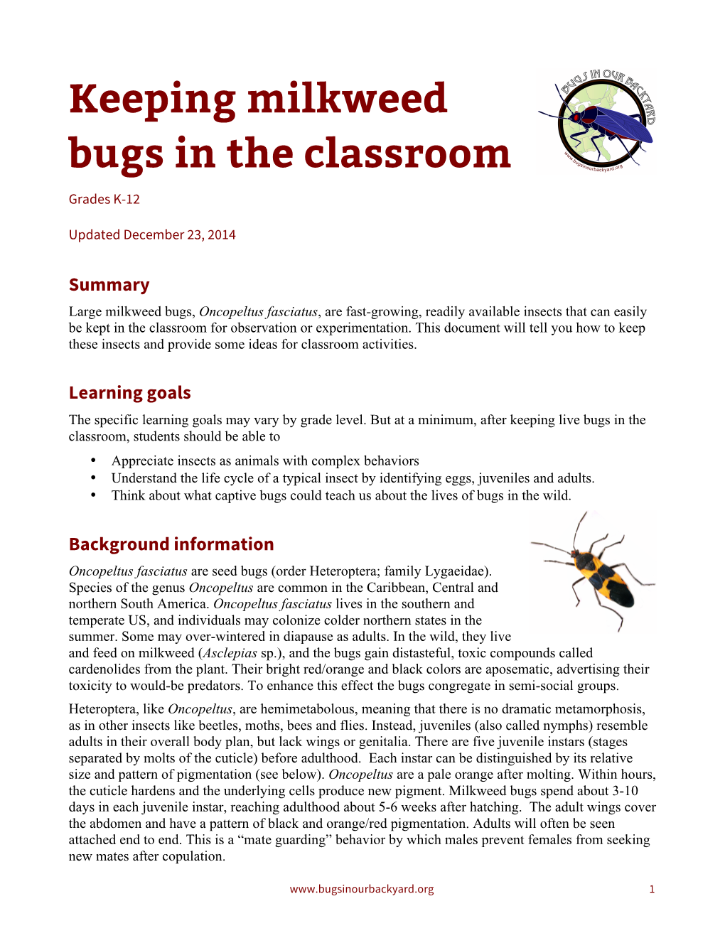 Keeping Milkweed Bugs in the Classroom