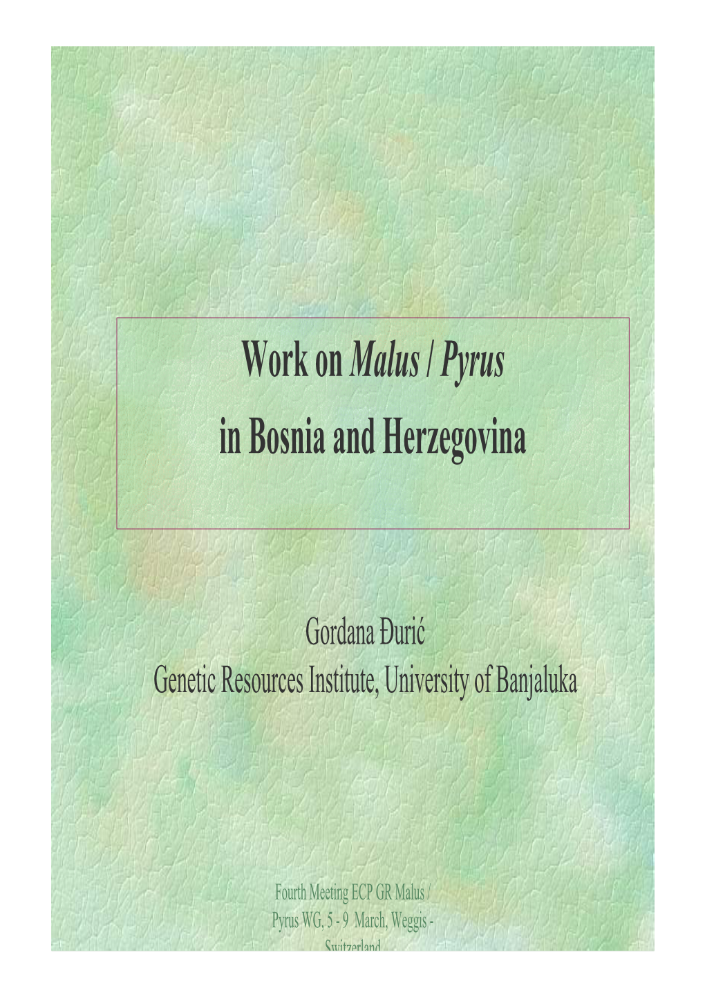 Work on Malus / Pyrus in Bosnia and Herzegovina