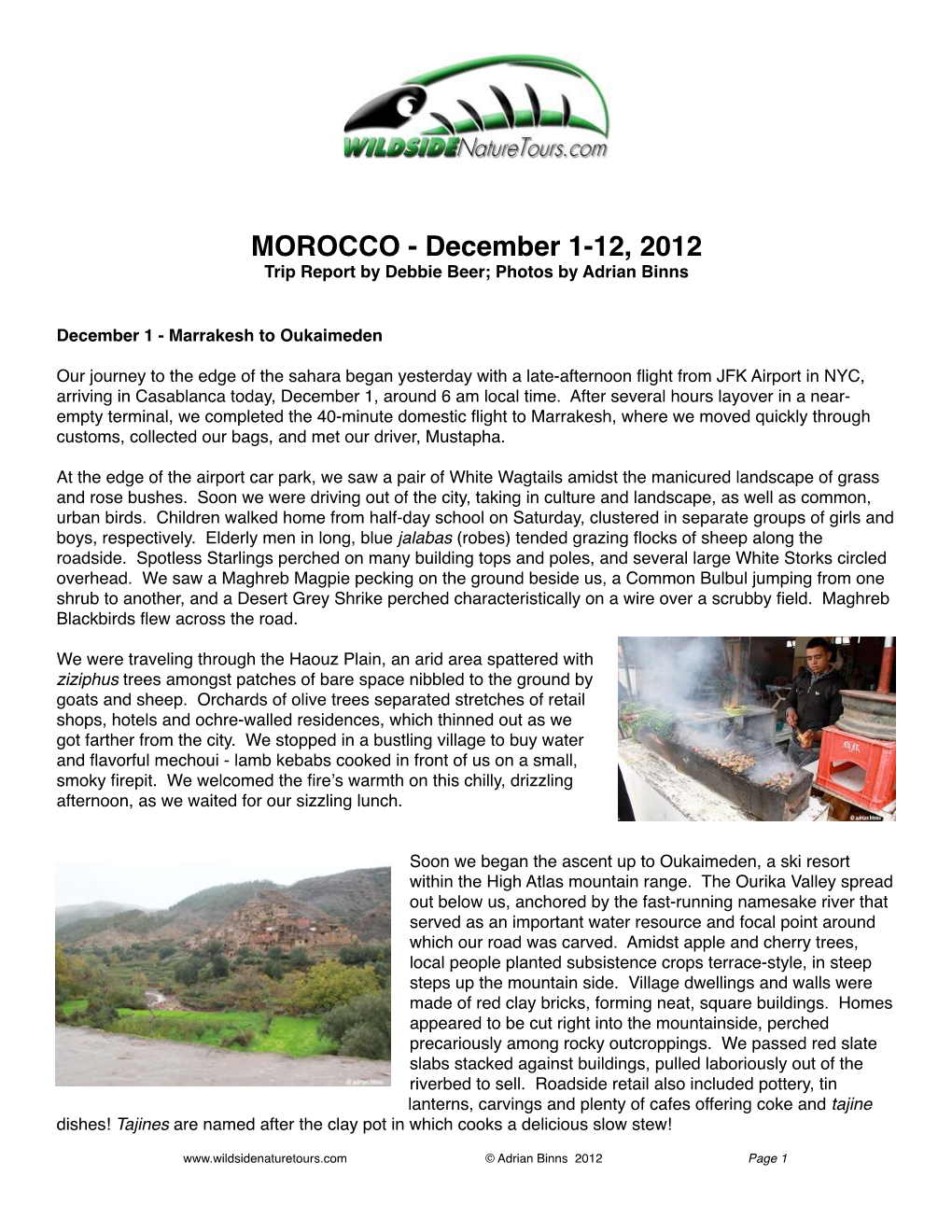 2012 Trip Report MOROCCO Southern