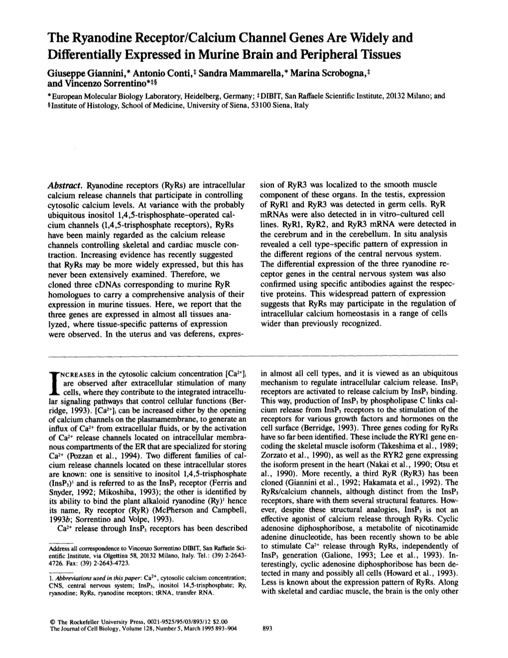 The Ryanodine Receptor/Calcium Channel Genes Are Widely And