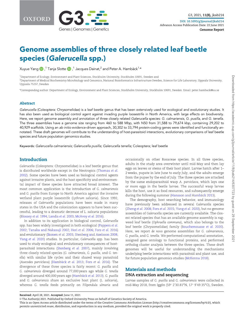 Genome Assemblies of Three Closely Related Leaf Beetle Species (Galerucella Spp.)