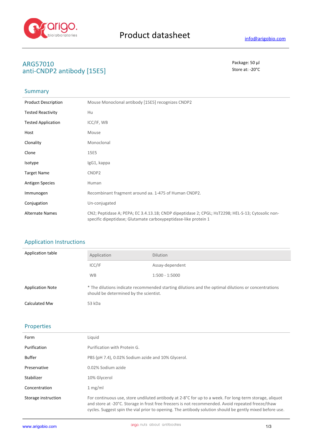 Anti-CNDP2 Antibody [15E5] (ARG57010)