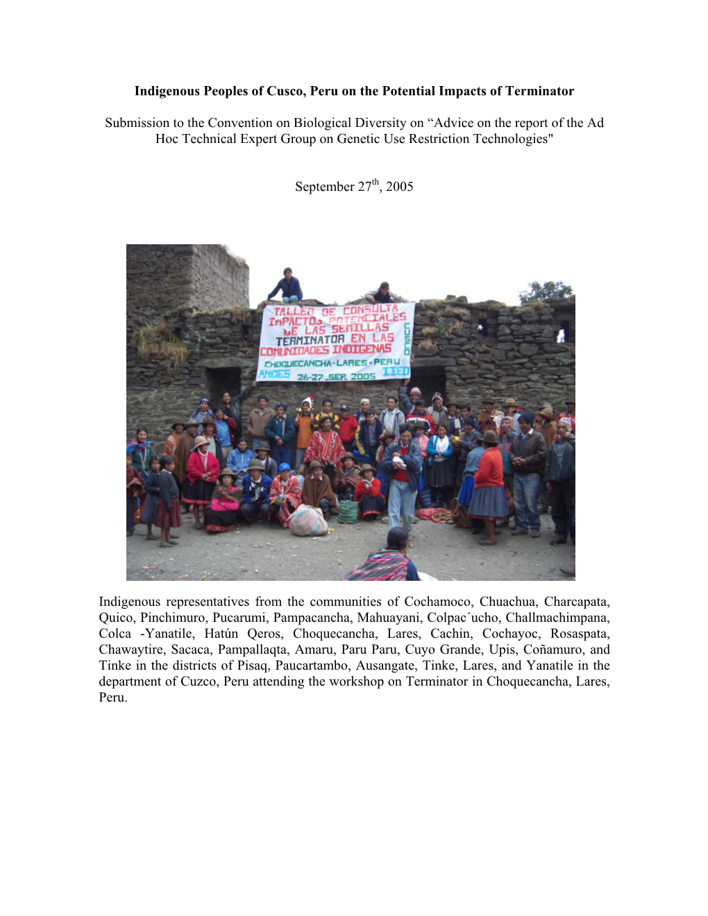 Declaration of Indigenous Peoples of Cuzco, Peru On